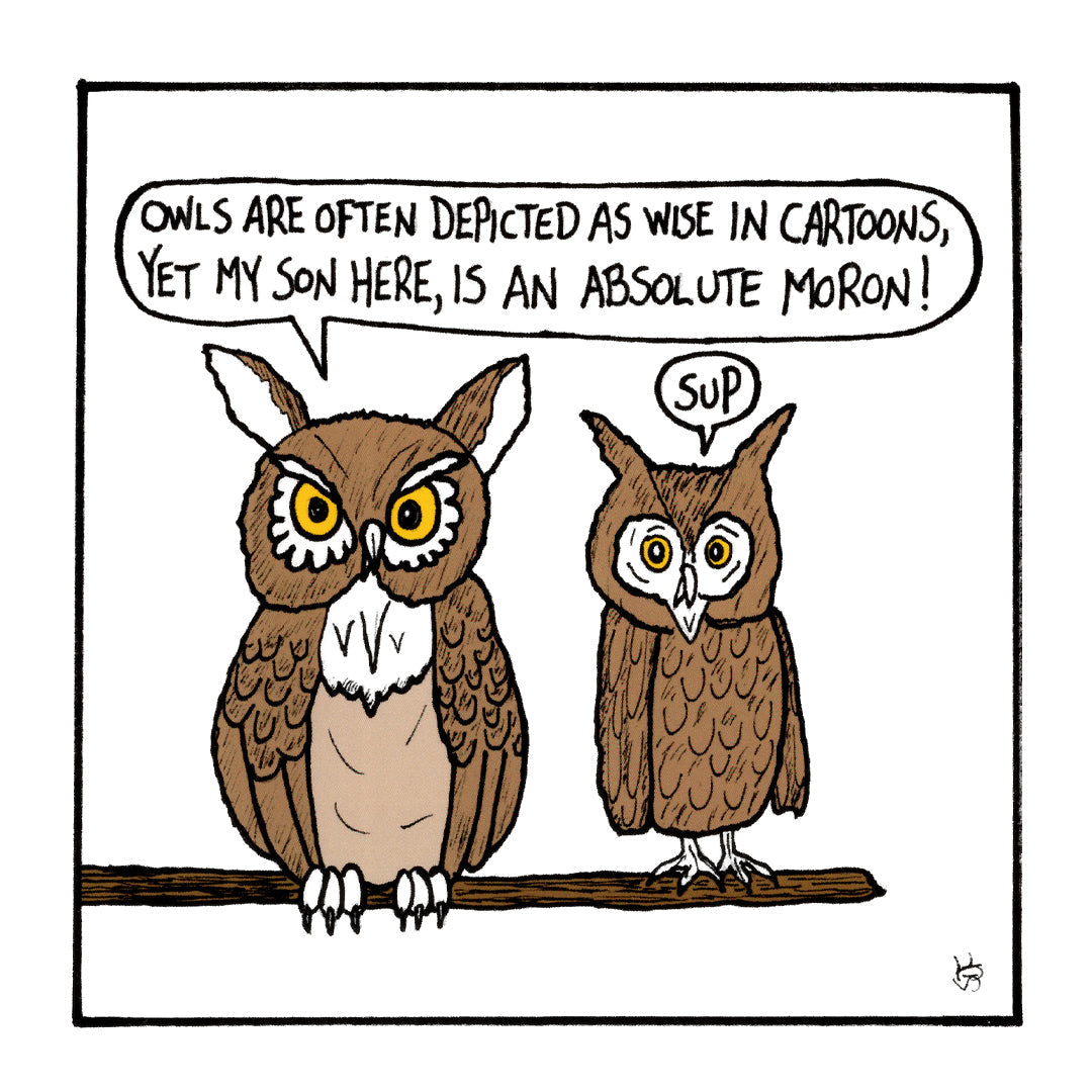 Owls funny birthday greeting card front design by comedian Stewart Francis